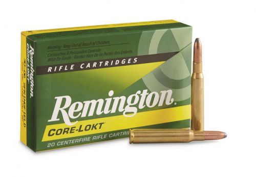 Remington .30-06 Springfield 220 Grain Core-Lokt Soft Point