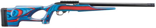 Ruger 10/22 USA Shooting Team 2024 TALO Exclusive .22 LR 18 10+1
