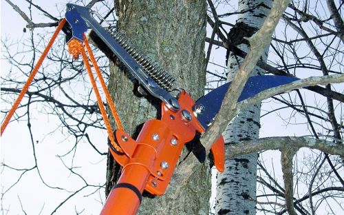 Expandable Pole Saw