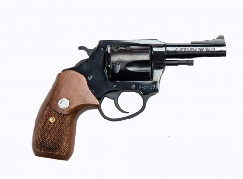 Charter Arms Classic Bulldog .44 Special Revolver