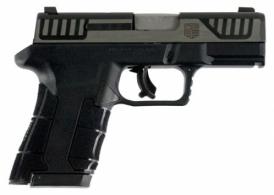 Diamondback Firearms 9MM SUBCMPT BLK/2TN - DBAM29SL