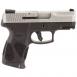 Taurus G2C Gray/Matte Stainless 9mm Pistol