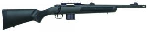 GLFA 16 Stainless Steel Barrel Charcoal Green 223 Remington/5.56 NATO AR15 Semi Auto Rifle