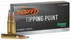 HSM Tipping Point 6mm ARC 95 gr 20 Per Box/ 25 Cs