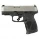 Dan Wesson LE Valor 10mm Stainless Steel NS