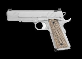 Dan Wesson 1911 Specialist Stainless .45 ACP 5 Night Sights