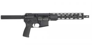 Wise Arms .300 AAC Blackout 10.5 barrel with 10 M-LOK Rail, Sniper Gray, 30 rounds