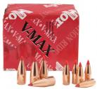 Varmint Bullet .172 Diameter 25 Grain V-Max