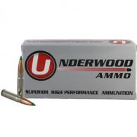 Main product image for Underwood Hunting Ballistic Tip 300 AAC Blackout Ammo 20 Round Box