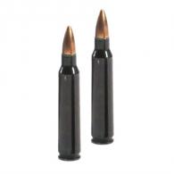 Traditions Rifle Training Cartridge 223 Rem (2 CT) - TRAATR223REM