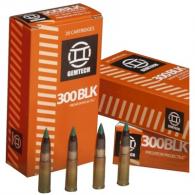 Gemtech Ammo 300 AAC BLK 120gr Polymer Tip 20/bx (20 rounds per box) - GEM300120