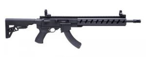 Ruger 10/22 Tactical 22 LR Rifle ATI AR-22 25+1 16.125