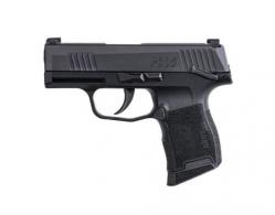 Dan Wesson LE Wraith 9mm Night Sights 10rd