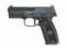 Sig Sauer P250 Full Size Night Sights Two-Tone 17+1 Capacity