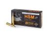 HSM 243Win 95gr Hornady SST 20rd box