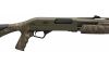 Winchester SXP Long Beard 20ga 24 OD Green, Mossy Oak Bottomland (Image 4)